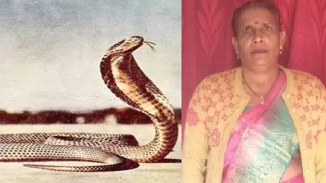 डेढ़ किमी थी सीएचसी, सर्पदंश पीड़िता को 18 किमी झाड़फूंक के लिए ले गए स्वजन... महिला की हो गई मौत
